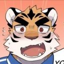 呆呆熊