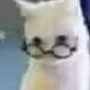 眯眯眼的龙猫