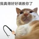 日月崇光