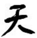 书天