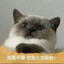 顺利毕业