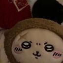 StudySheep