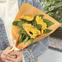 惠聪儿