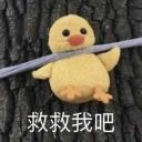 玩命做研究