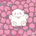 称心花生