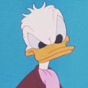 与可
