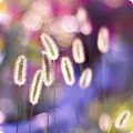 沐雨微寒