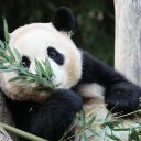 爱宝乐宝福宝