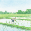 Hashimoto