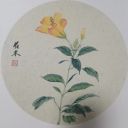 向阳花木