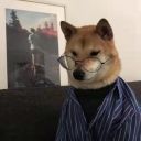 洁白的故人