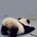 恒吴宇