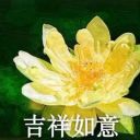 活泼洙