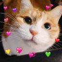 来一口记忆面包