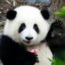 淼焱