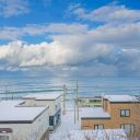 在野靡生