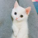憨憨兔子