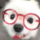小八统治世界