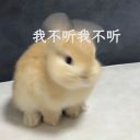 啦啦啦