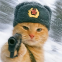 调皮的白昼