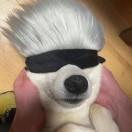 Komorebi