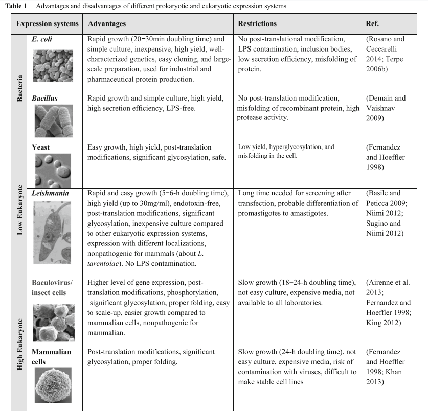 Advantages and disadvantages of different prokaryotic and eukaryotic expression systems