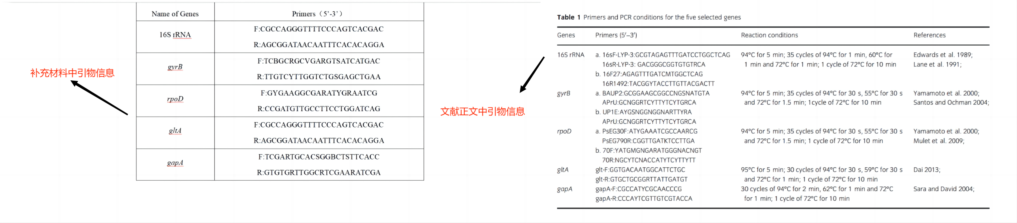 引物信息对比